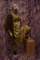 photo320_small.jpg